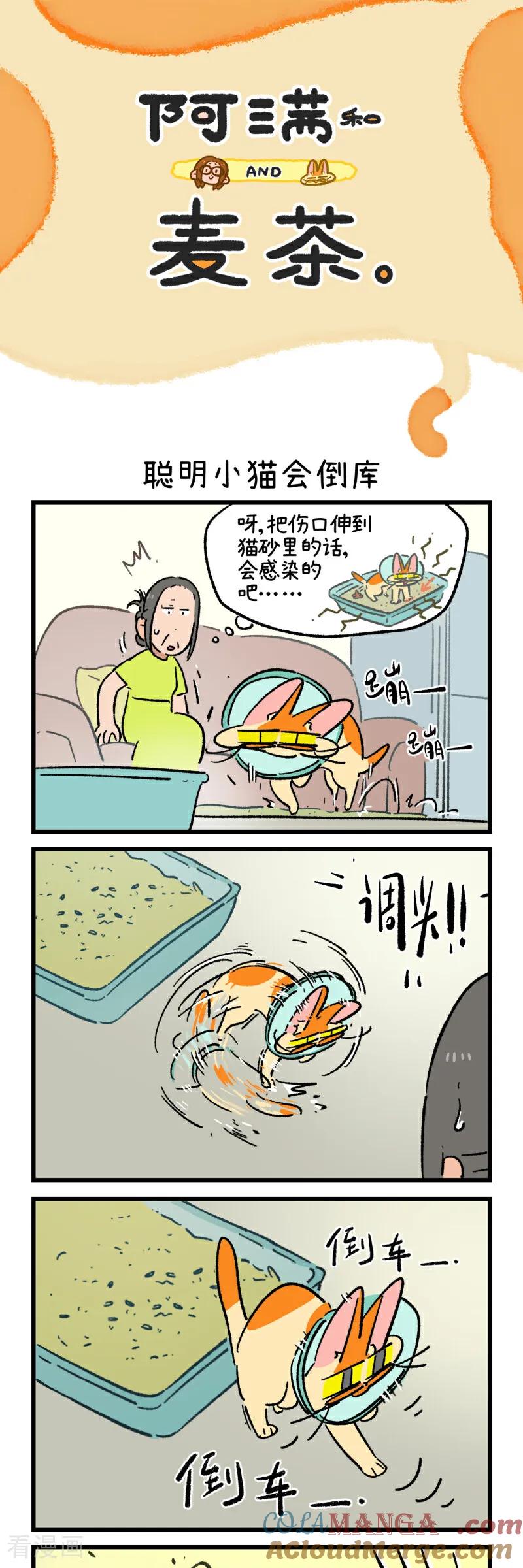 第234话-阿满和麦茶-新漫画 日胖大海寺（第13张）