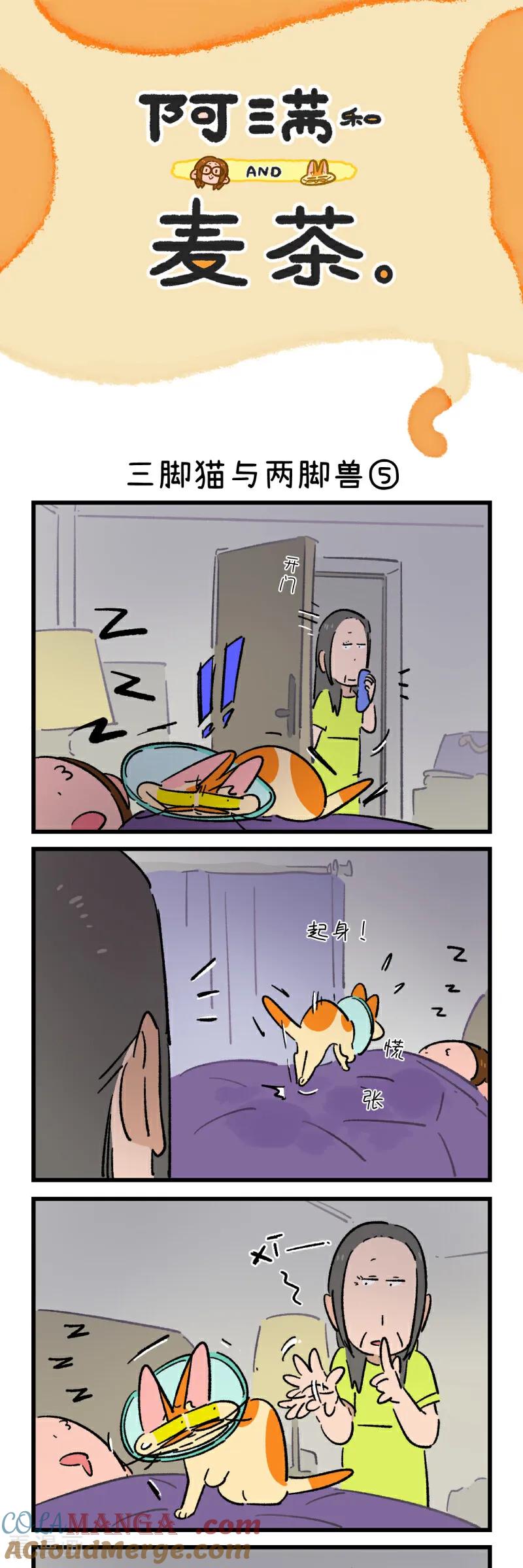 第234话-阿满和麦茶-新漫画 日胖大海寺（第9张）