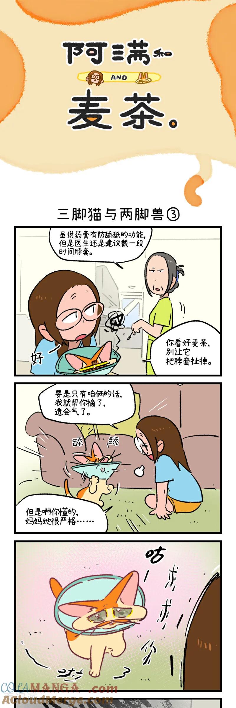 第234话-阿满和麦茶-新漫画 日胖大海寺（第5张）