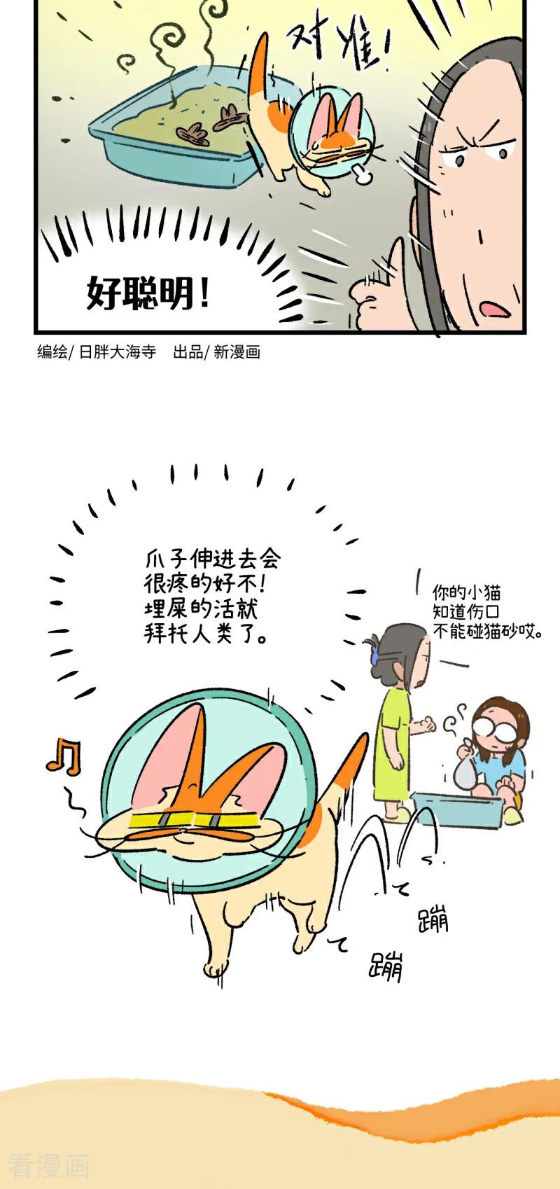 第234话-阿满和麦茶-新漫画 日胖大海寺（第14张）