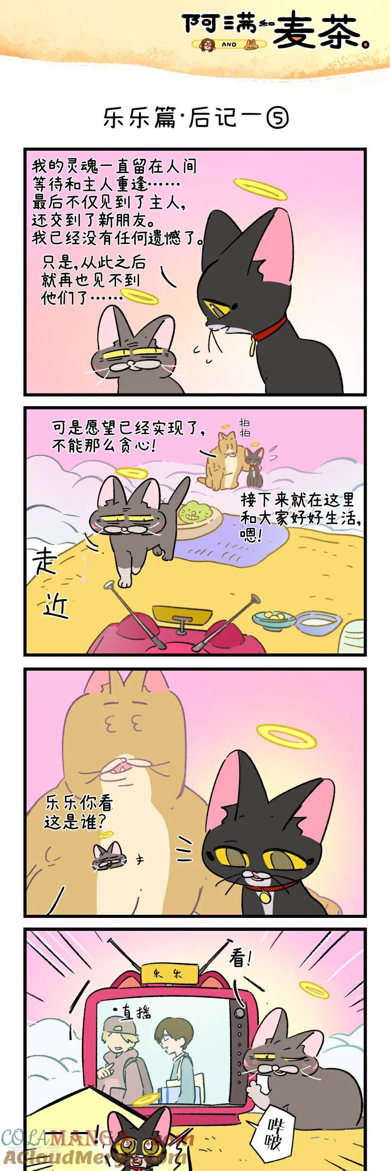 第250话-阿满和麦茶-新漫画 日胖大海寺（第9张）