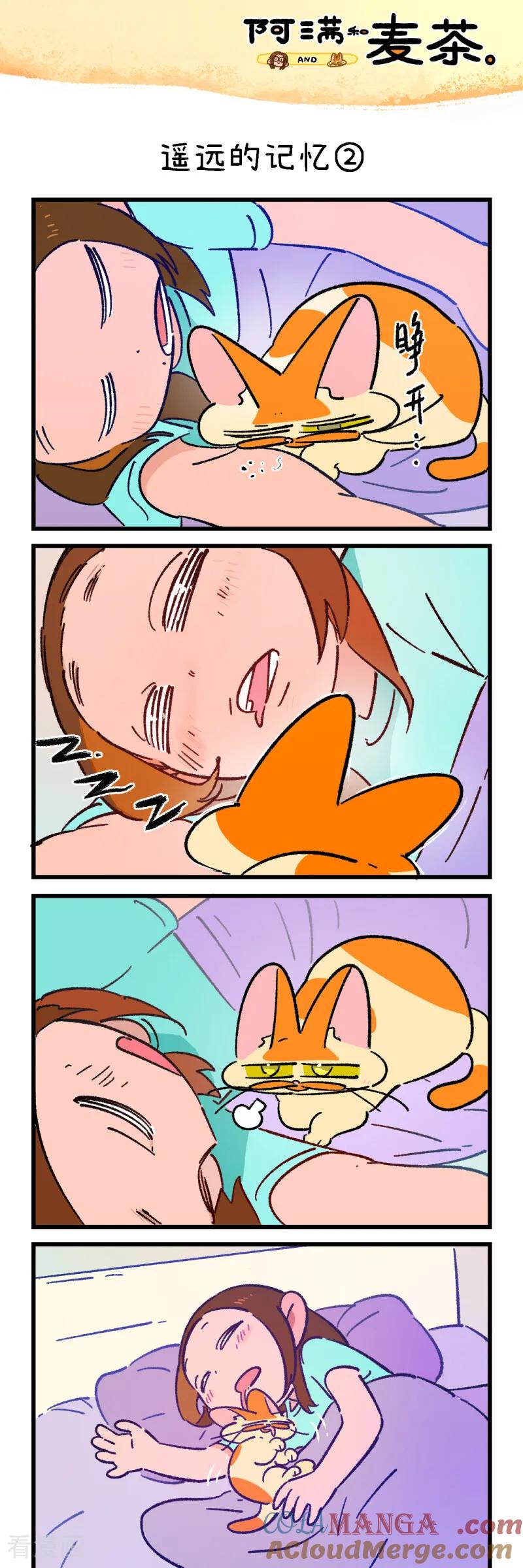 第254话-阿满和麦茶-新漫画 日胖大海寺（第5张）