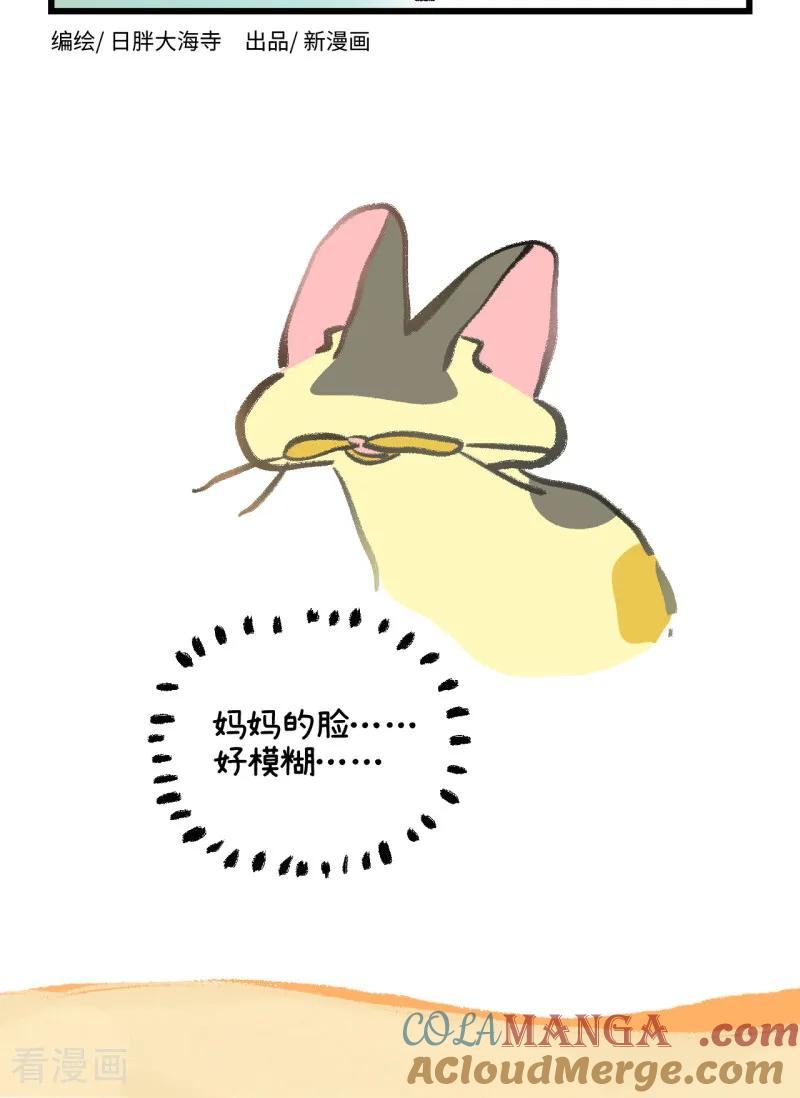 第254话-阿满和麦茶-新漫画 日胖大海寺（第4张）