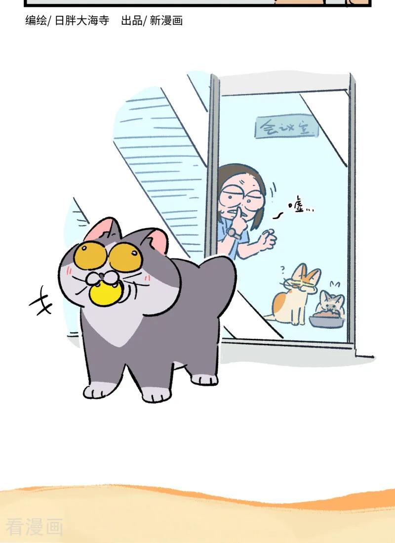 第260话-阿满和麦茶-新漫画 日胖大海寺（第2张）