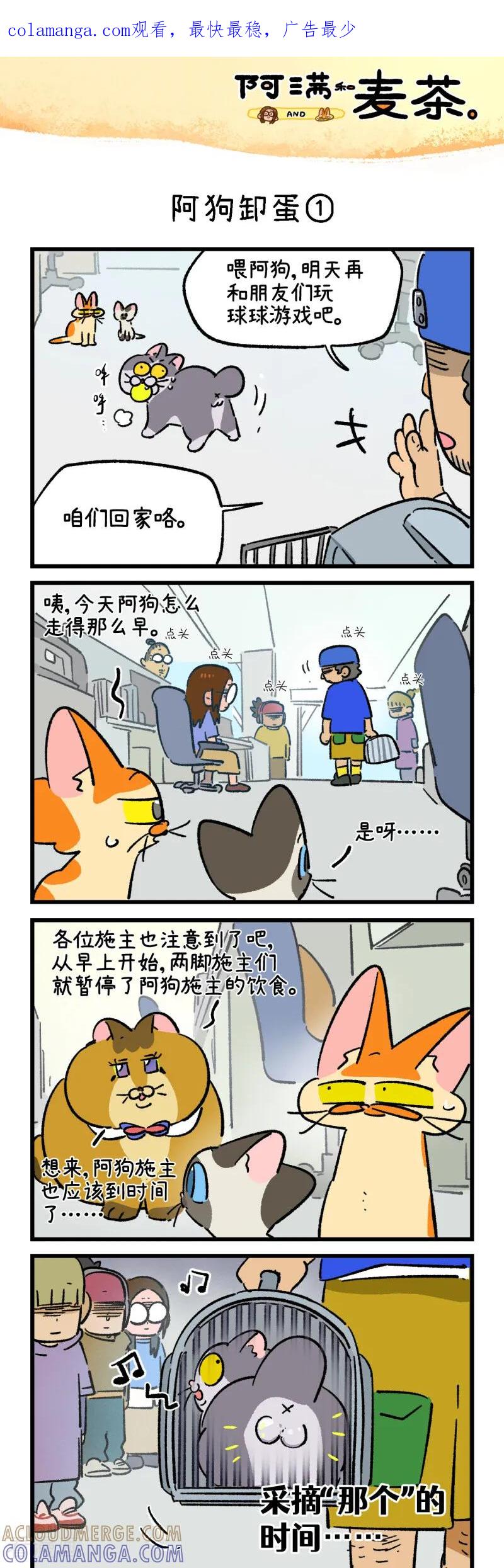 第260话-阿满和麦茶-新漫画 日胖大海寺（第1张）