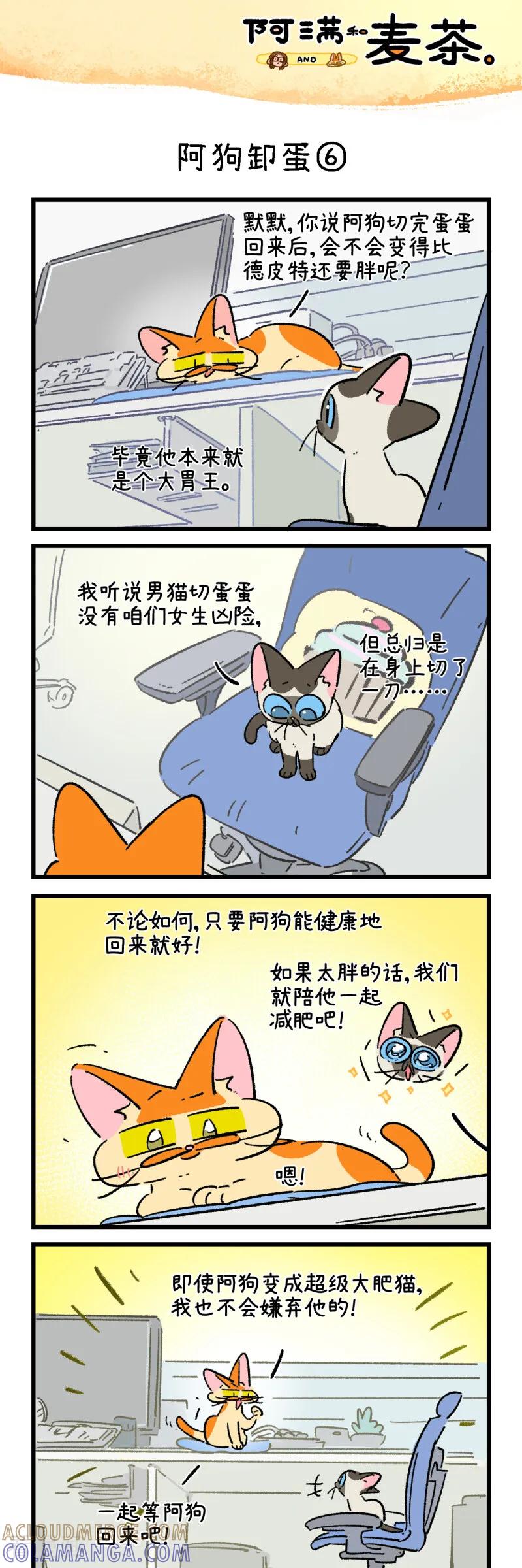 第260话-阿满和麦茶-新漫画 日胖大海寺（第11张）