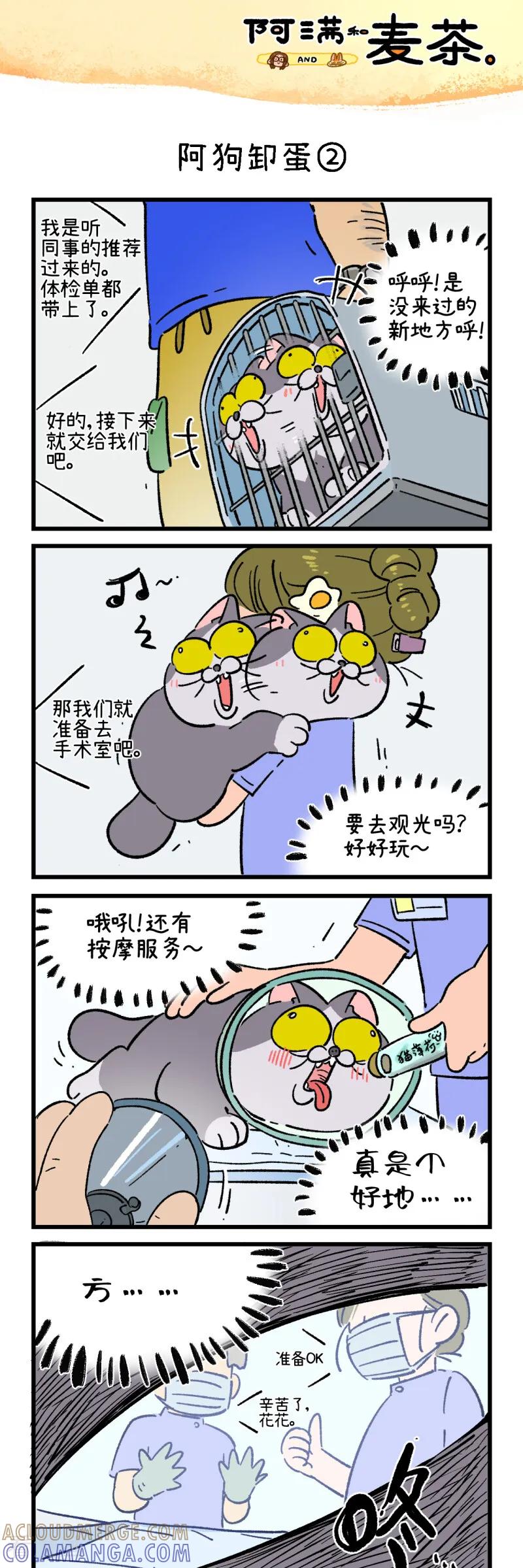 第260话-阿满和麦茶-新漫画 日胖大海寺（第3张）