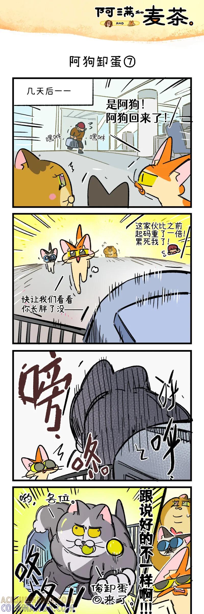 第260话-阿满和麦茶-新漫画 日胖大海寺（第13张）