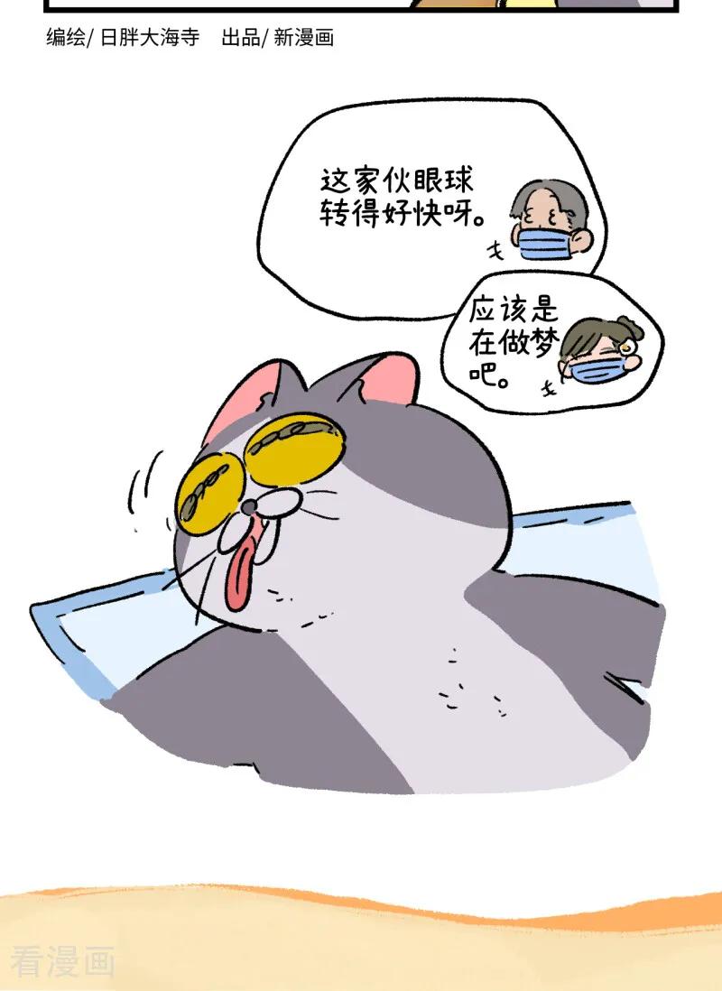 第260话-阿满和麦茶-新漫画 日胖大海寺（第8张）