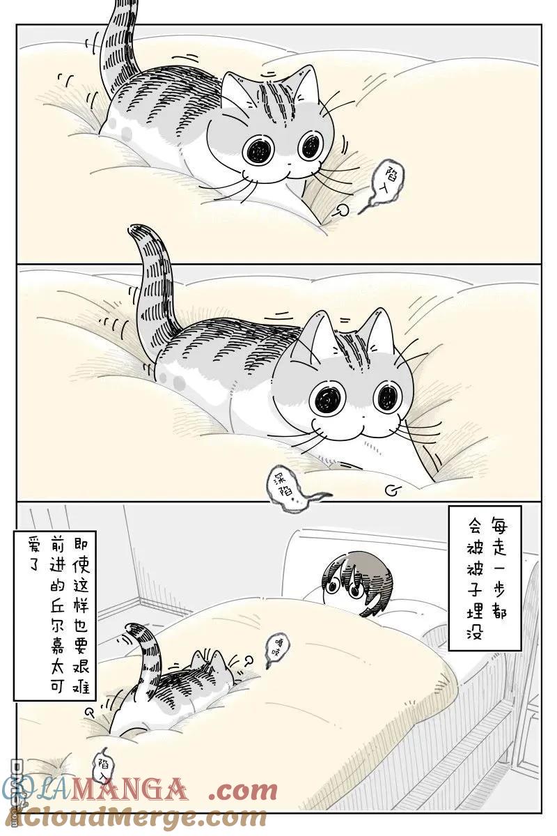第248话-关于养猫我一直是新手-キュルZ（第1张）
