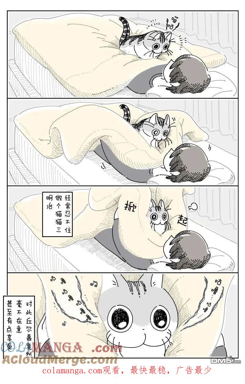 第248话-关于养猫我一直是新手-キュルZ（第2张）