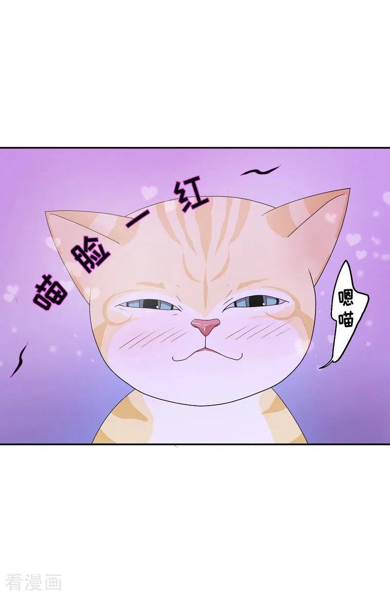 第12话蔷薇8-朝鲜男女相悦之事操作团-星际互娱（第2张）