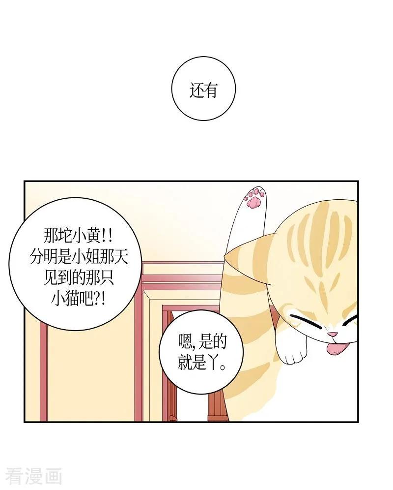 第7话蔷薇3-朝鲜男女相悦之事操作团-星际互娱（第3张）