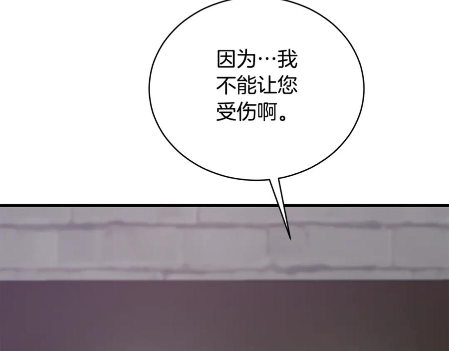 95.jpg