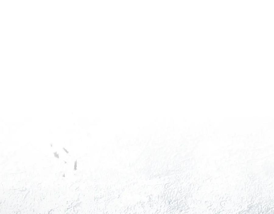 84.jpg