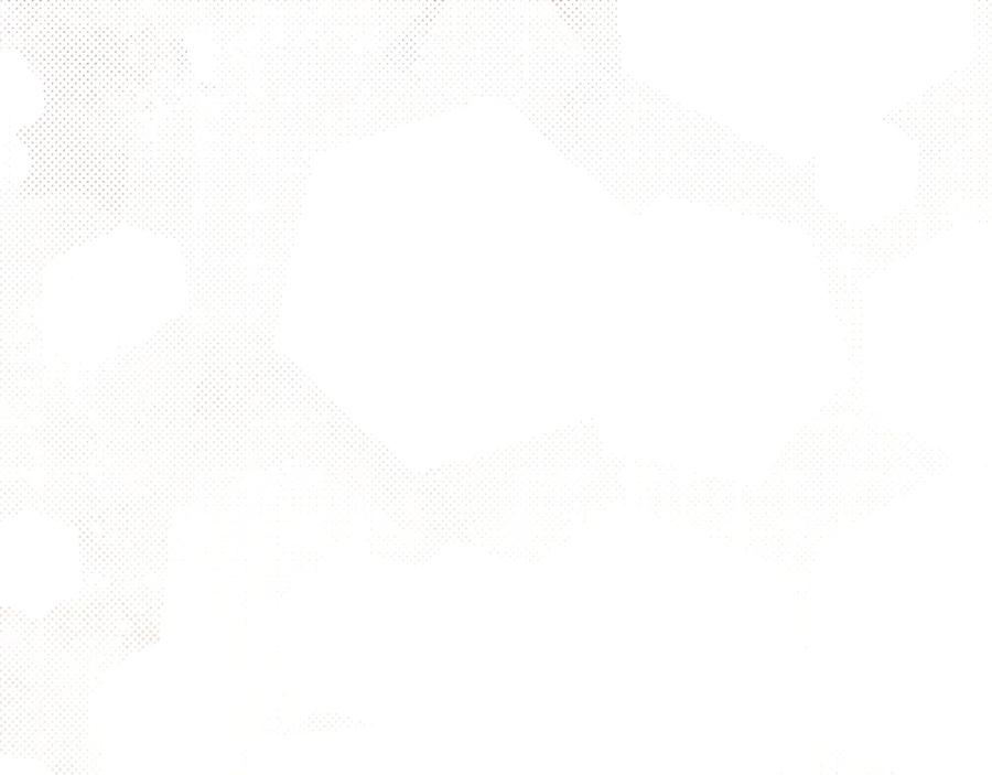 96.jpg