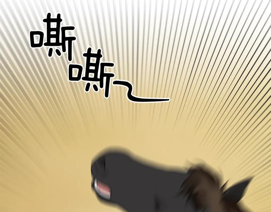 160.jpg