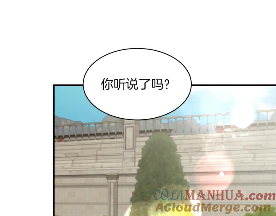 113.jpg