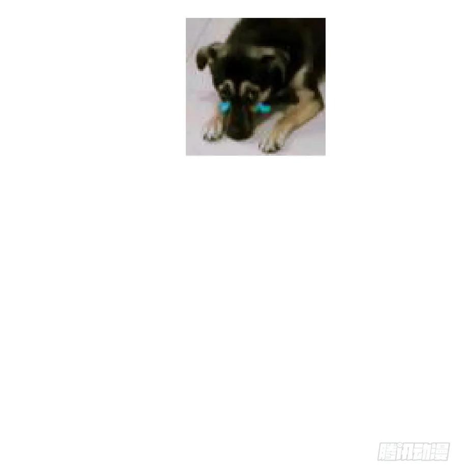 79.jpg