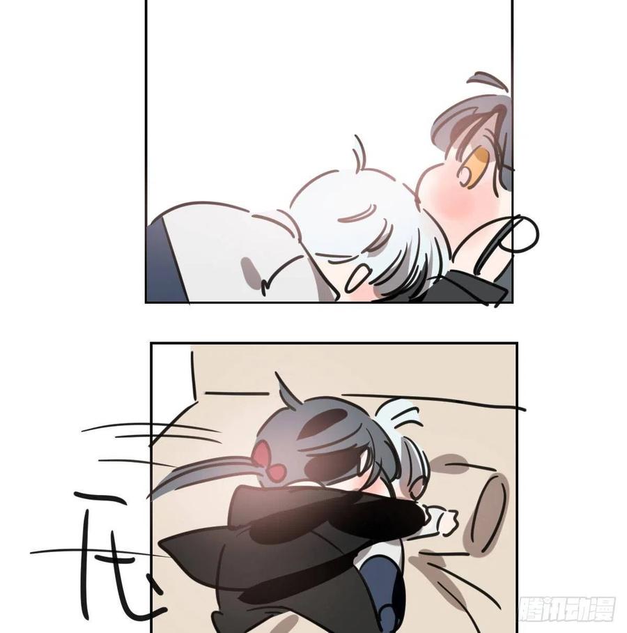 64.jpg