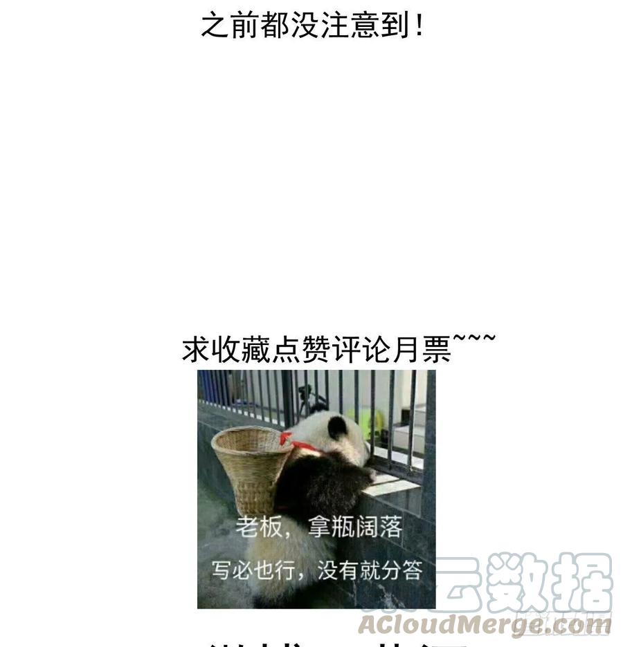 77.jpg