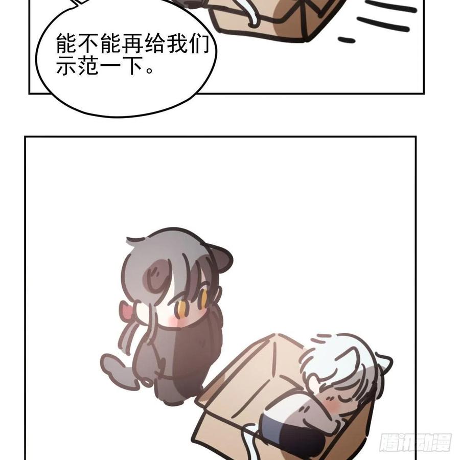 84.jpg