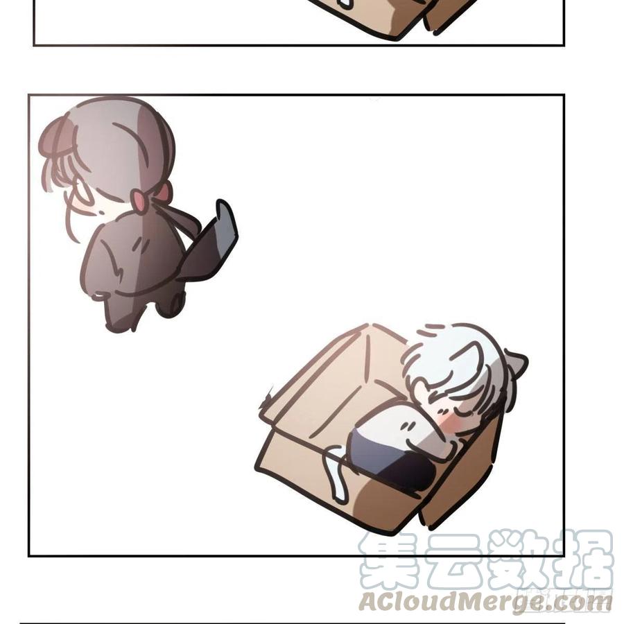 85.jpg
