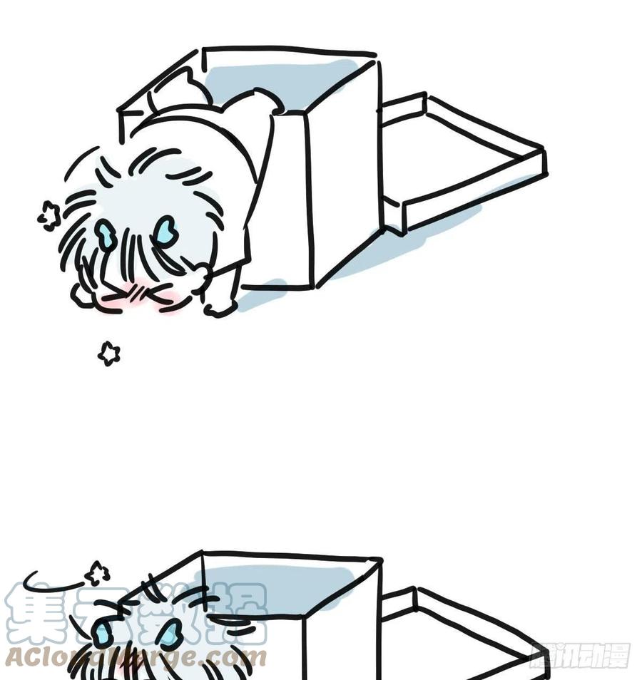58.jpg