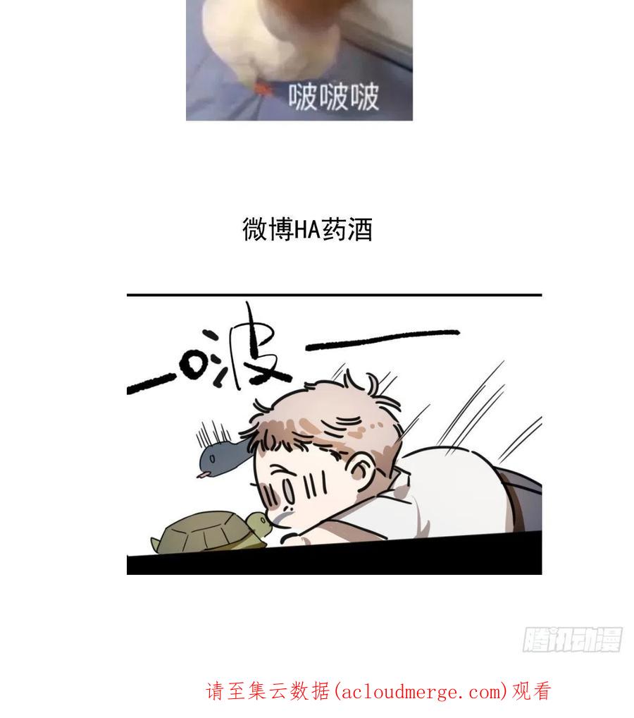 74.jpg