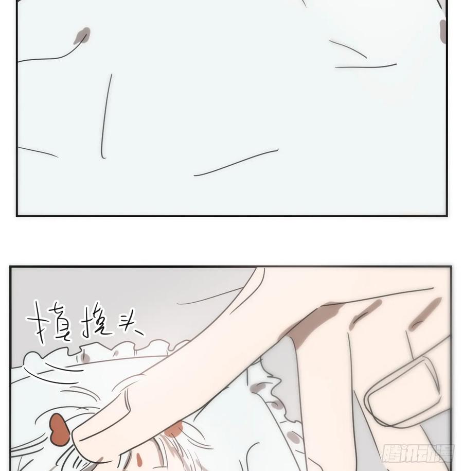 47.jpg