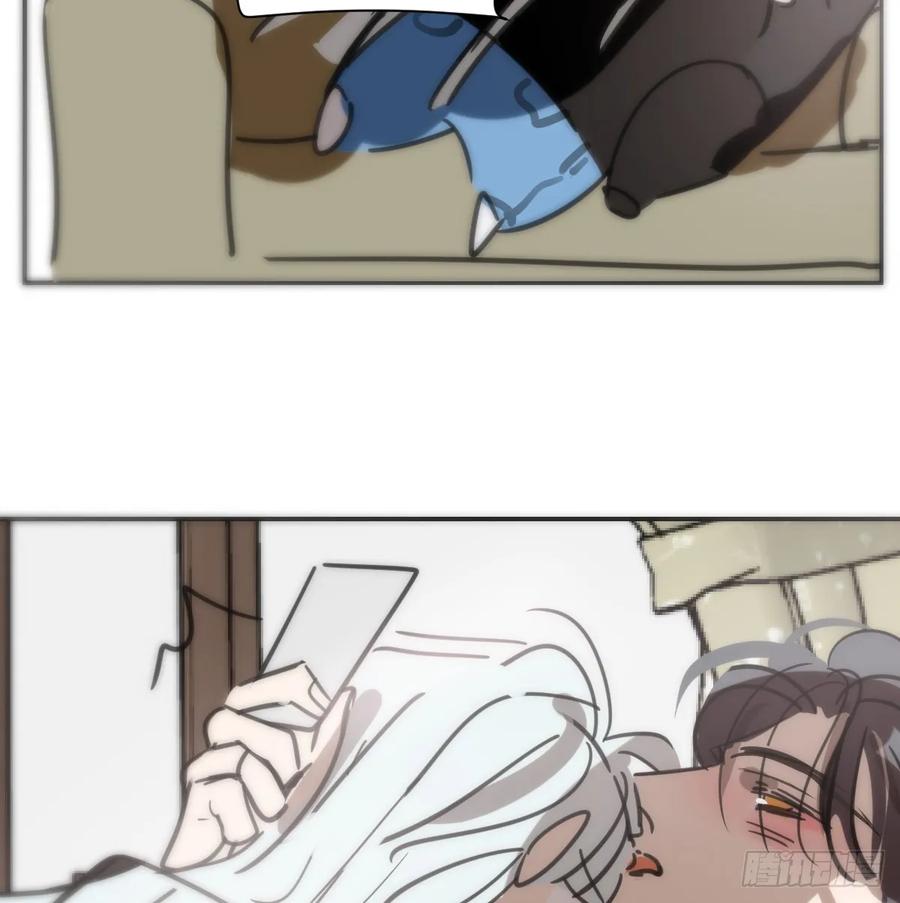 47.jpg