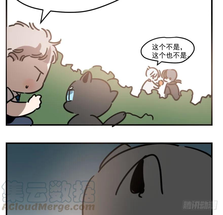 25.jpg