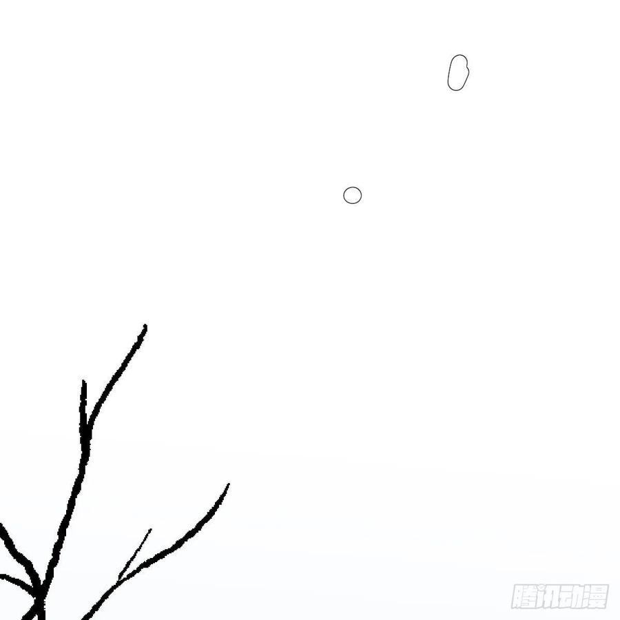 78.jpg