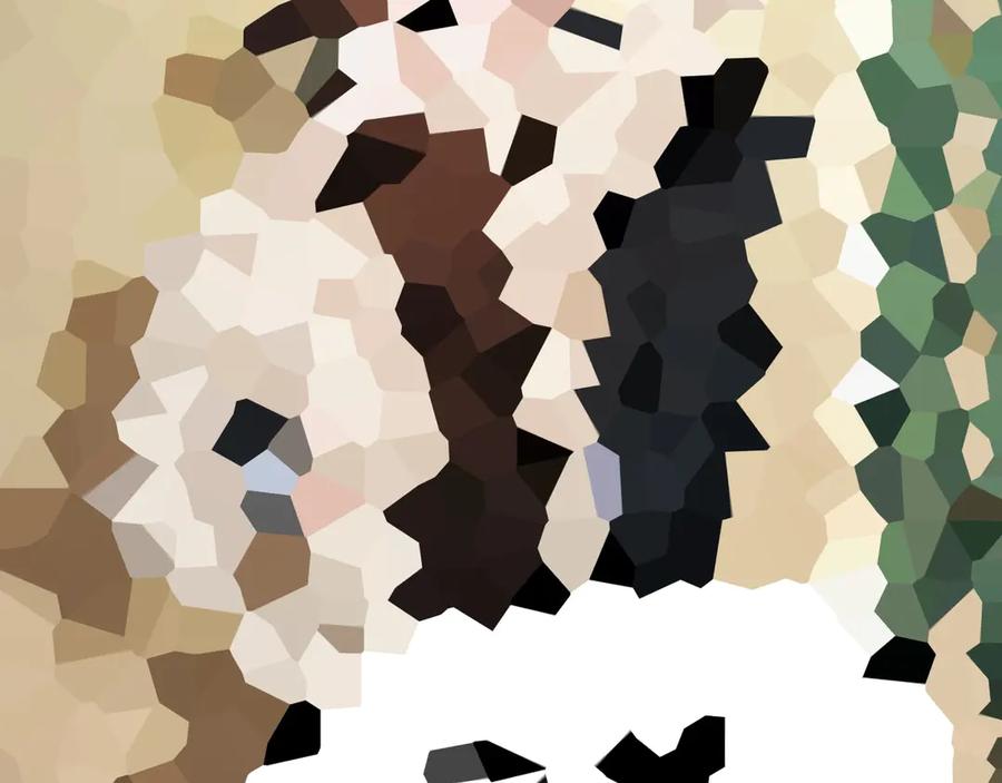 80.jpg