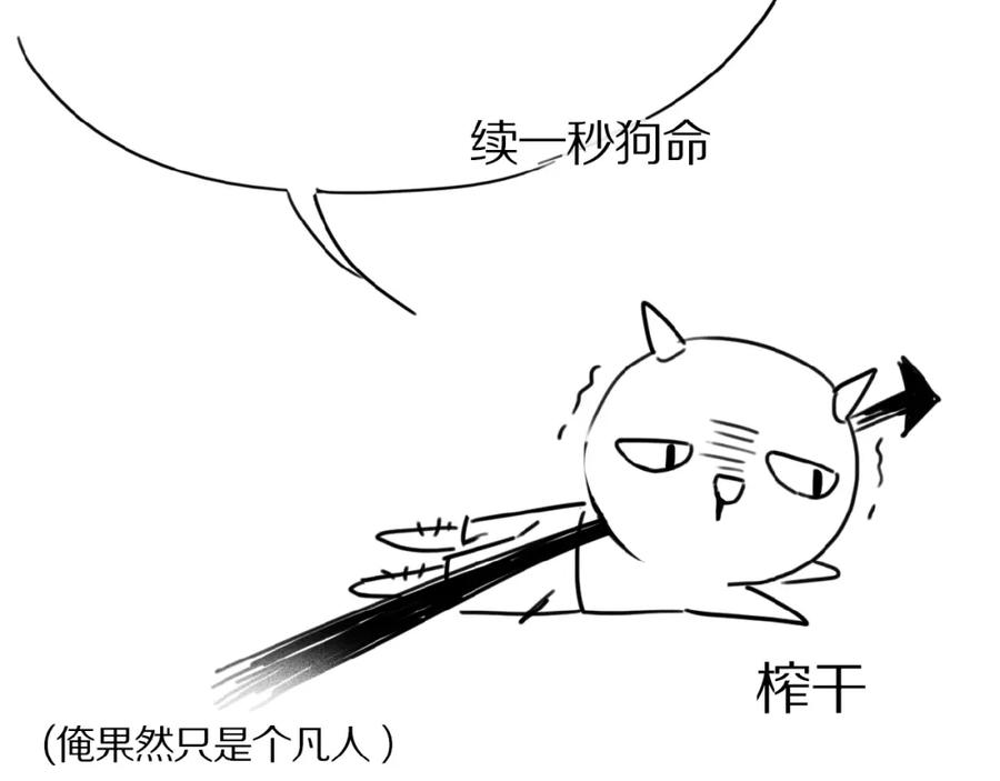 62.jpg
