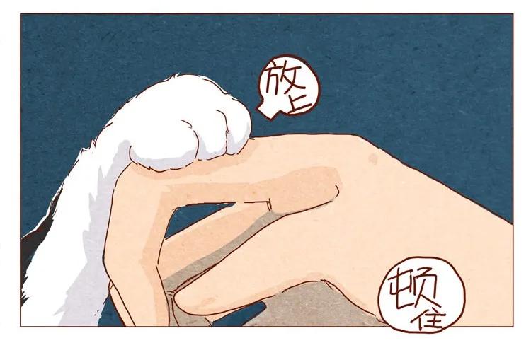 番外跟你很熟吗-喂，看见耳朵啦-特雷西胡,漫漫漫画（第12张）