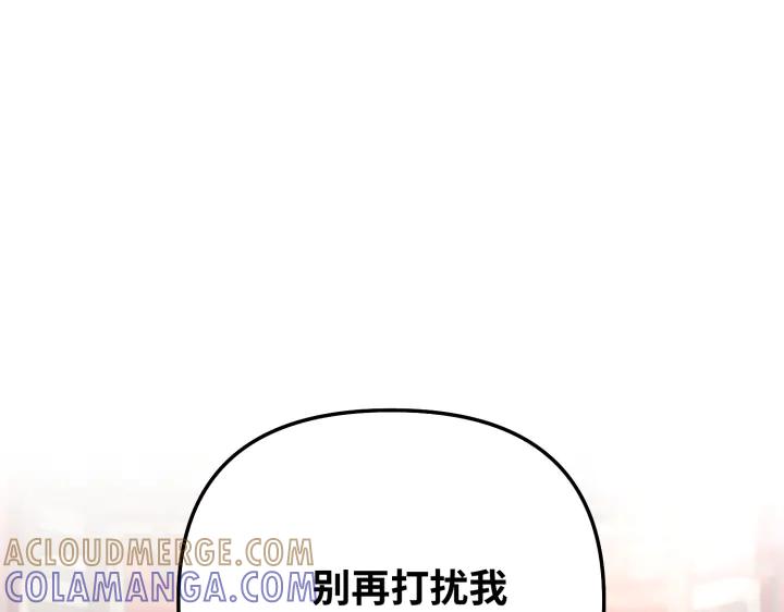 241.jpg