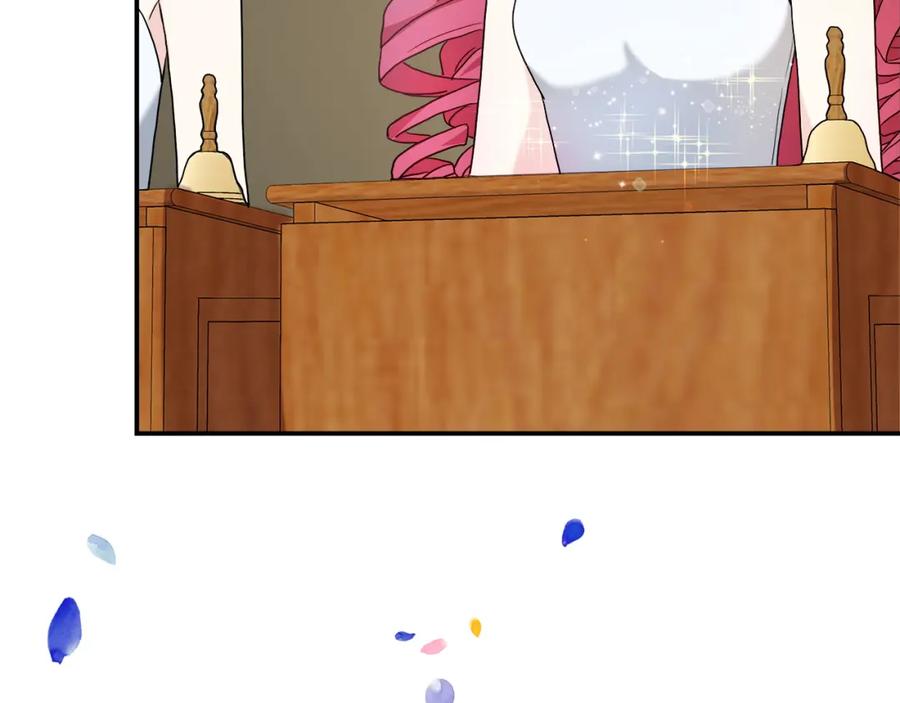 233.jpg