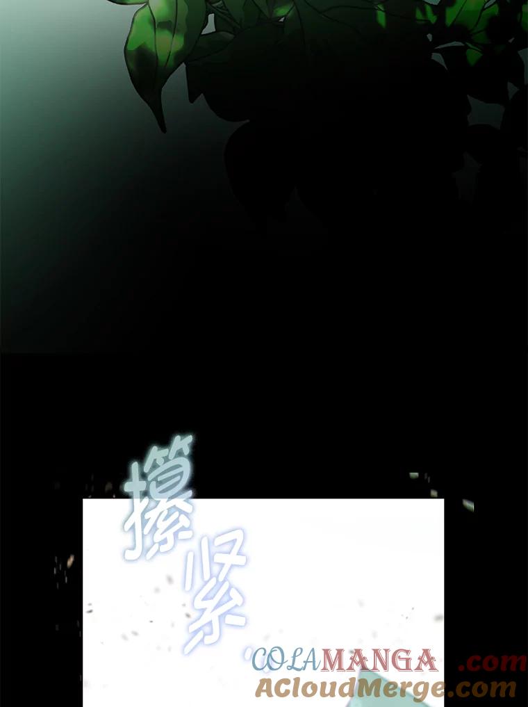 137.jpg