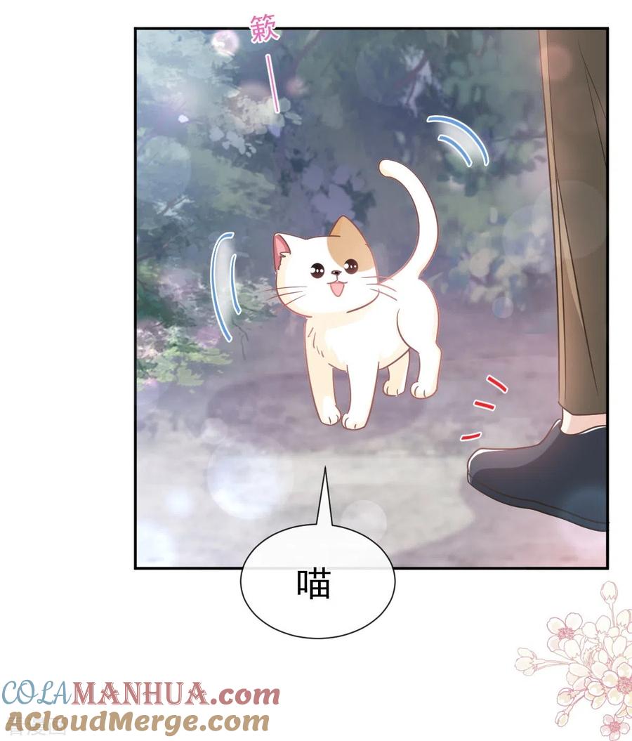 第263话危险升级-霸道总裁轻点爱-热萌文化（第13张）