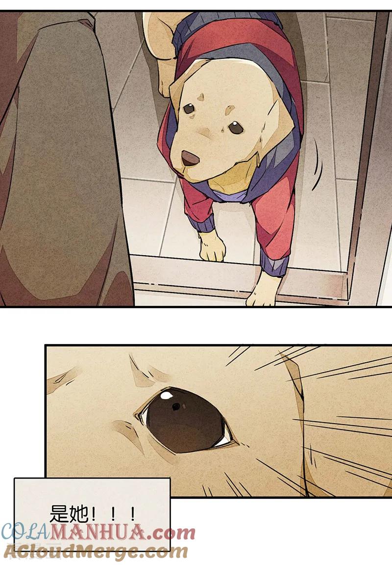 第9话2爱犬-百诡谈-完美世界漫画（第9张）