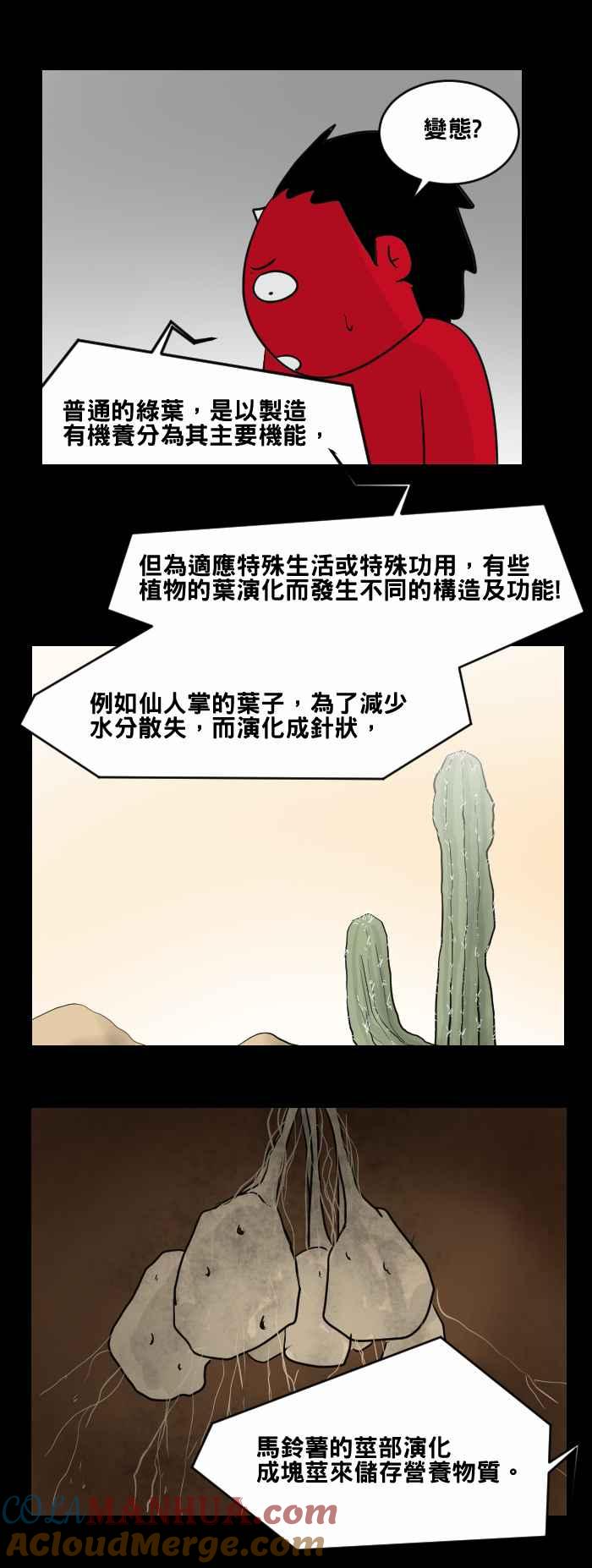 [第466话]维纳斯(一)-百鬼夜行志・一夜怪谈之卷-阿慢（第15张）