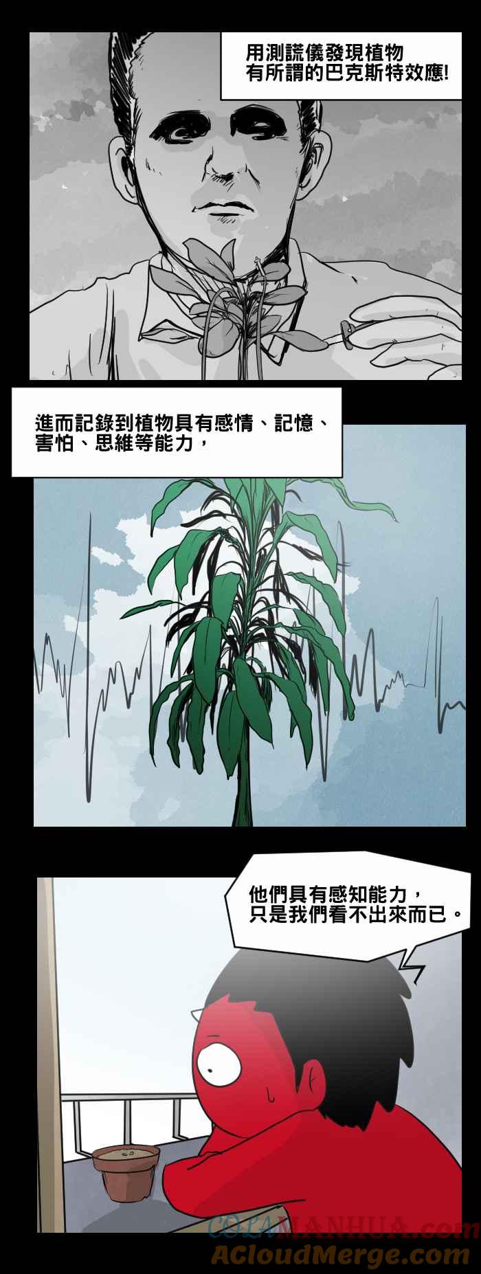 [第467话]维纳斯(二)-百鬼夜行志・一夜怪谈之卷-阿慢（第5张）