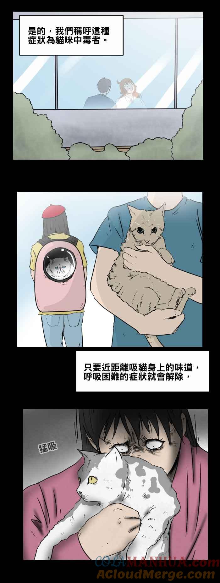[第469话]猫咪中毒者(一)-百鬼夜行志・一夜怪谈之卷-阿慢（第11张）