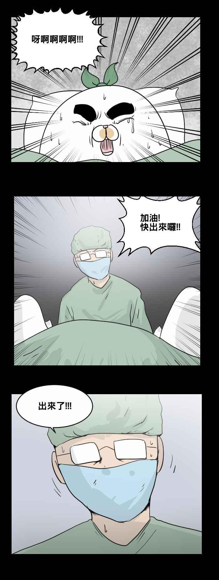 [第470话]猫咪中毒者(二)-百鬼夜行志・一夜怪谈之卷-阿慢（第12张）