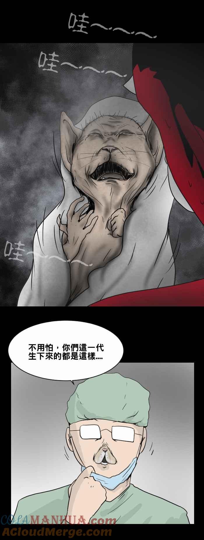 [第470话]猫咪中毒者(二)-百鬼夜行志・一夜怪谈之卷-阿慢（第15张）