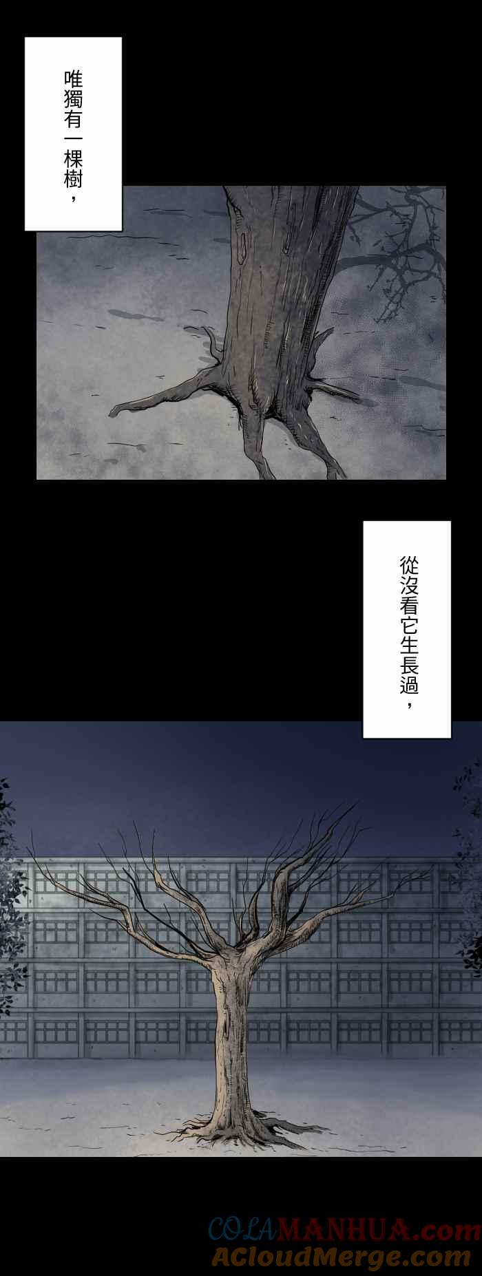 [第592话]枯树-百鬼夜行志・一夜怪谈之卷-阿慢（第3张）