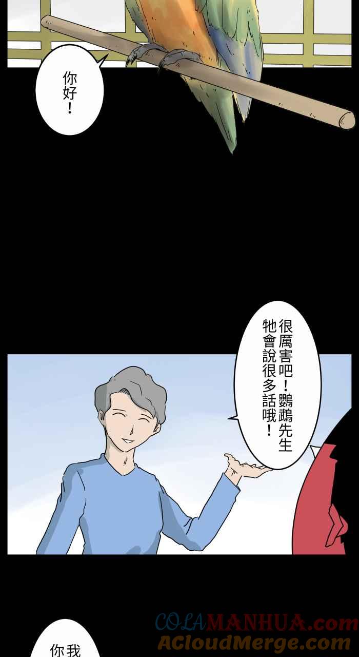 [第668话]鹦鹉-百鬼夜行志・一夜怪谈之卷-阿慢（第3张）