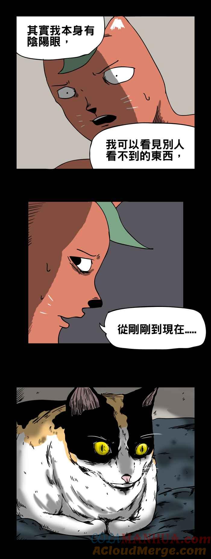 [第75话]来历不明的猫-百鬼夜行志・一夜怪谈之卷-阿慢（第4张）