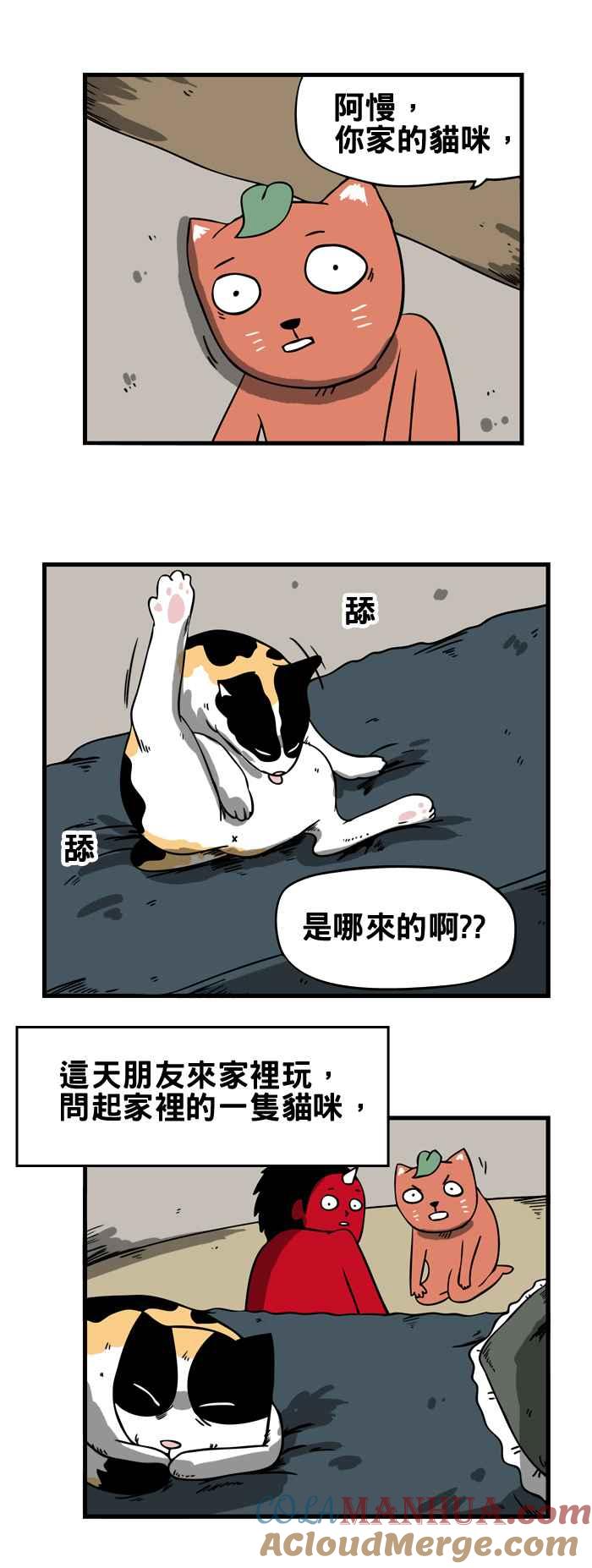 [第75话]来历不明的猫-百鬼夜行志・一夜怪谈之卷-阿慢（第2张）